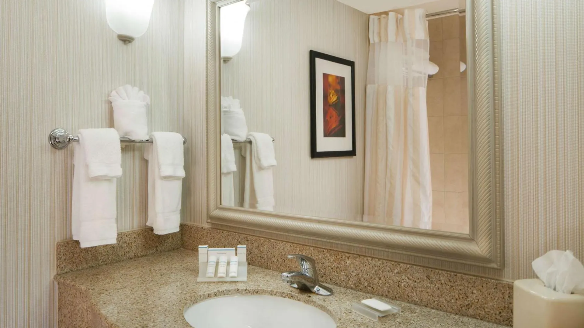 Hotel Hilton Garden Inn Virginia Beach Town Center