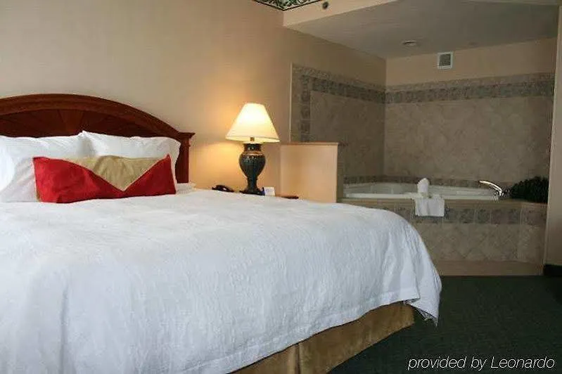 Hilton Garden Inn Virginia Beach Town Center Hotel